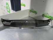 Schließplatte Kühlerträger PARTESUPERIORDECHAPA Renault I SCENIC (JA0) 1.9 dTi Diesel CAT