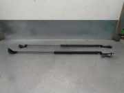 Gasdruckfedern Set Hinten 904501KA1A Nissan Juke (F15) SUV 1.6 DIG-T 16V (MR16)