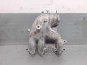 Ansaugkrümmer 045129713F Volkswagen Polo IV (9N1/2/3) Schrägheck 1.4 TDI 75 (AMF) AMF