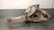 Achsschenkel Halter Links Vorne LR095817 Land + Range Rover Discovery V (LR) Geländewagen 2.0 Td4 16V (204DTA)