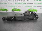 Stoßdämpfer Links Hinten 9667013780 Citroën C6 (TD) Limousine 3.0 HDiF V6 24V (DT20C(X8Z))