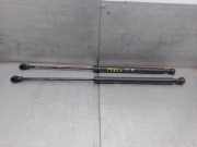 Gasdruckfedern Set Hinten 77008000311 Renault I FASE I+II (B/C57) 1.9 Diesel