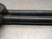 Gasdruckfeder Set Vorne 51327200197 BMW 5 serie Gran Turismo (F07) Schrägheck 530d xDrive 24V (N57-D30A)