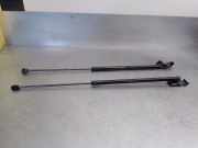 Gasdruckfedern Set Hinten 904510002R Renault Megane III Coupe (DZ) Schrägheck 3-drs 1.2 16V TCE 130 Start & Stop (H5F-404(H5F-B4))