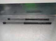 Gasdruckfedern Set Hinten 8200119498 Renault II Station Wagon (KM0/1_) 1.9 dCi