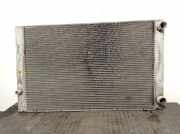 Radiator 4E0121251C Audi A8 (D3) Limousine 4.2 V8 40V Quattro (BFM)