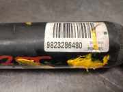 Stoßdämpfer Links Hinten 9823286480 Peugeot 5008 II (M4/MC/MJ/MR) Großraumlimousine 1.5 BlueHDi 130 (DV5RC(YHZ))