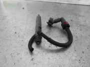 Kraftstoff-Injector Ford (TC7) 1.8 TDCi CAT