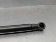 Gasdruckfedern Set Hinten 4G5827919 Audi A6 (C7) Limousine 3.0 TDI V6 24V (CLAB)