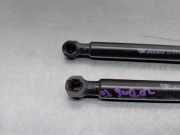 Gasdruckfedern Set Hinten 904507649R Renault Captur II (RJB) SUV 1.6 E-Tech 145 (H4M-632(H4M-C6))