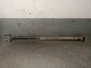 Bremsanker Stange Links Hinten 423092 Opel Zafira Tourer (P12) Großraumlimousine 1.6 CDTI 16V ecoFLEX 134 (B16DTH)