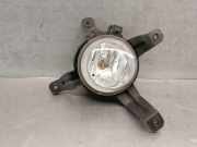 Nebelscheinwerfer Links Vorne 922012Y000 Hyundai iX35 (LM) SUV 2.0 CRDi 16V (D4HA)