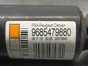 Stoßdämpfer Links Hinten 9685479880 Citroën DS3 (SA) Schrägheck 1.2 12V PureTech 110 S&S (EB2DT(HNZ))