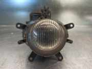 Nebelscheinwerfer Rechts Vorne 63170141608 BMW SERIE 3 BERLINA (E46) 2.0 16V Diesel CAT