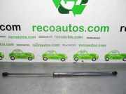 Gasdruckfeder Set Vorne 1C0823359C Volkswagen New Beetle (9C1/9G1) Schrägheck 3-drs 1.6 (AYD) AYD