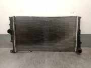 Radiator 17117600511 BMW 1 serie (F20) Schrägheck 5-drs 116i 1.6 16V (N13-B16A)