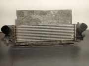 Ladeluftkühler 17518592701 BMW 3 serie (G20) Limousine 320d 2.0 TwinPower Turbo 16V Mild Hybrid (B47-D20B)