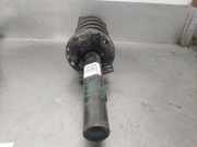 Stoßdämpfer Rechts Vorne 6Q0413031BR Seat Ibiza III (6L1) Schrägheck 1.9 TDI 100 (ATD)