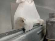 Fensterheber Rechts Hinten 83402GI000 Hyundai 5 (NE) (BEV)