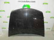 Motorhaube 7751474143 Renault Vel Satis (BJ) Großraumlimousine 3.0 dCi V6 24V (P9X-701)