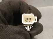 R?cklicht Links In Der Heckklappe 8159153021 Lexus IS (E1) Limousine 200 2.0 24V (1G-FE)