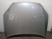 Motorhaube 4L0823029A Audi Q7 (4LB) SUV 3.0 TDI V6 24V (BUG)