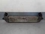 Ladeluftkühler 46849068 Fiat Doblo Cargo (223) Van 1.9 JTD (223.B.1000)