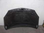 Motorhaube 651000024R Renault I (HY_) 2.0 dCi (HY0K)