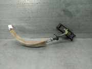 Handgriff Kofferraum 253806PA1A Nissan Juke (F16) SUV 1.0 DIG-T 12V (HR10DDT(H5D))