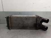 Ladeluftkühler 9803900780 Peugeot I (CU_) 1.2 THP 110 / PureTech 110