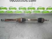 Antriebswelle Rechts Vorne 8200618111 Renault Clio III (BR/CR) Schrägheck 1.4 16V (K4J-780)