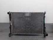 Radiator 1325831 Ford Fusion Kombi 1.4 16V (FXJA)