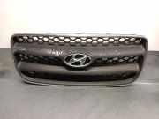 Grill 865612B010 Hyundai Santa Fe II (CM) SUV 2.2 CRDi 16V 4x2 (D4EB)