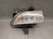 Blinker Rechts Vorne 51953117 Jeep Renegade (BU) SUV 1.6 Multijet 16V (55260384)
