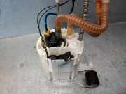 Tankschwimmer 16117243972 BMW 3 serie Touring (F31) Kombi 330d xDrive 3.0 24V (N57-D30A)