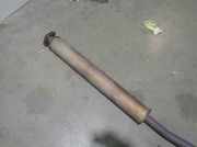 Auspuff Endtopf Ford CABRIO (CA5) 2.0 CAT