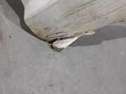 Motor H4DF480 Dacia Sandero III Schrägheck 1.0 TCe 90 12V (H4D-470(H4D-E4))