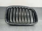 Grill 7336486 BMW 5 serie Gran Turismo (F07) Schrägheck 520d 16V (N47-D20C)