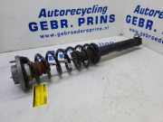 Federbein links hinten BMW 5er F10 105413