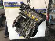 Motor ohne Anbauteile (Benzin) Volvo V40 Schrägheck 525, 526 XXXXX