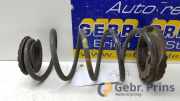Feder hinten Fiat Punto 199