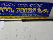 Heckklappendämpfer rechts Suzuki Celerio LF 8185084M00000