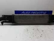 Ladeluftkühler Fiat Punto Evo 199 51836369
