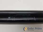 Heckklappendämpfer Fiat 500 312 00517854120