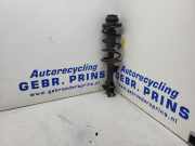 Federbein links vorne Suzuki Celerio LF