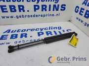 Heckklappendämpfer Renault Clio IV Grandtour KH 844307620R