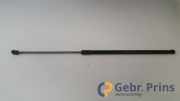 Gasdruckfeder VW Passat B6 CC 357 3C8823359