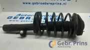 Federbein links vorne Citroen Xsara N1 XXXXX