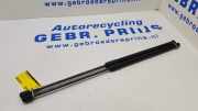 Heckklappendämpfer Audi Q2 GA 81A827552B