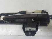 Türgriff links hinten Mercedes-Benz E-Klasse W212 A212P600334